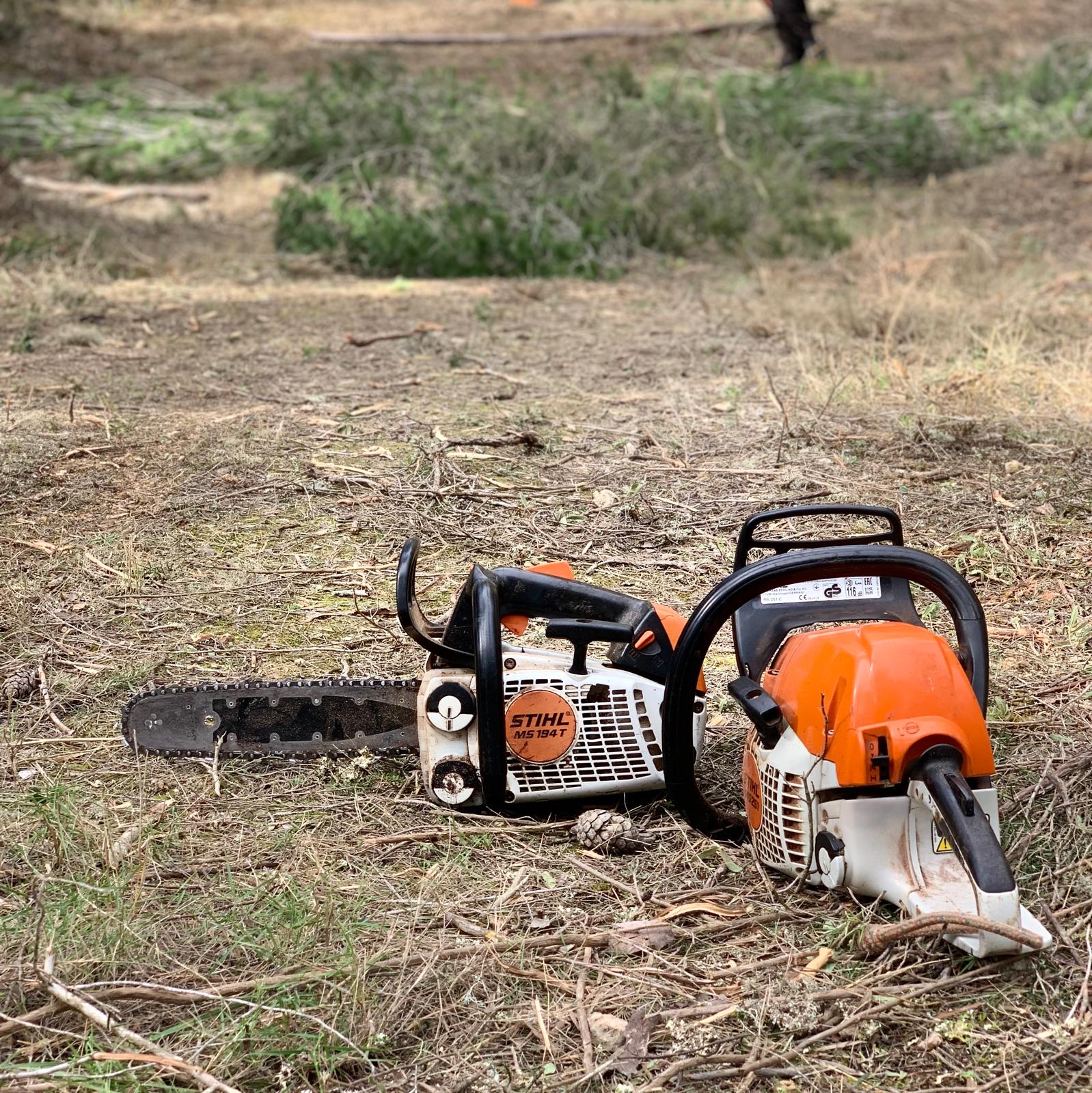 Trabajos forestales en ibiza