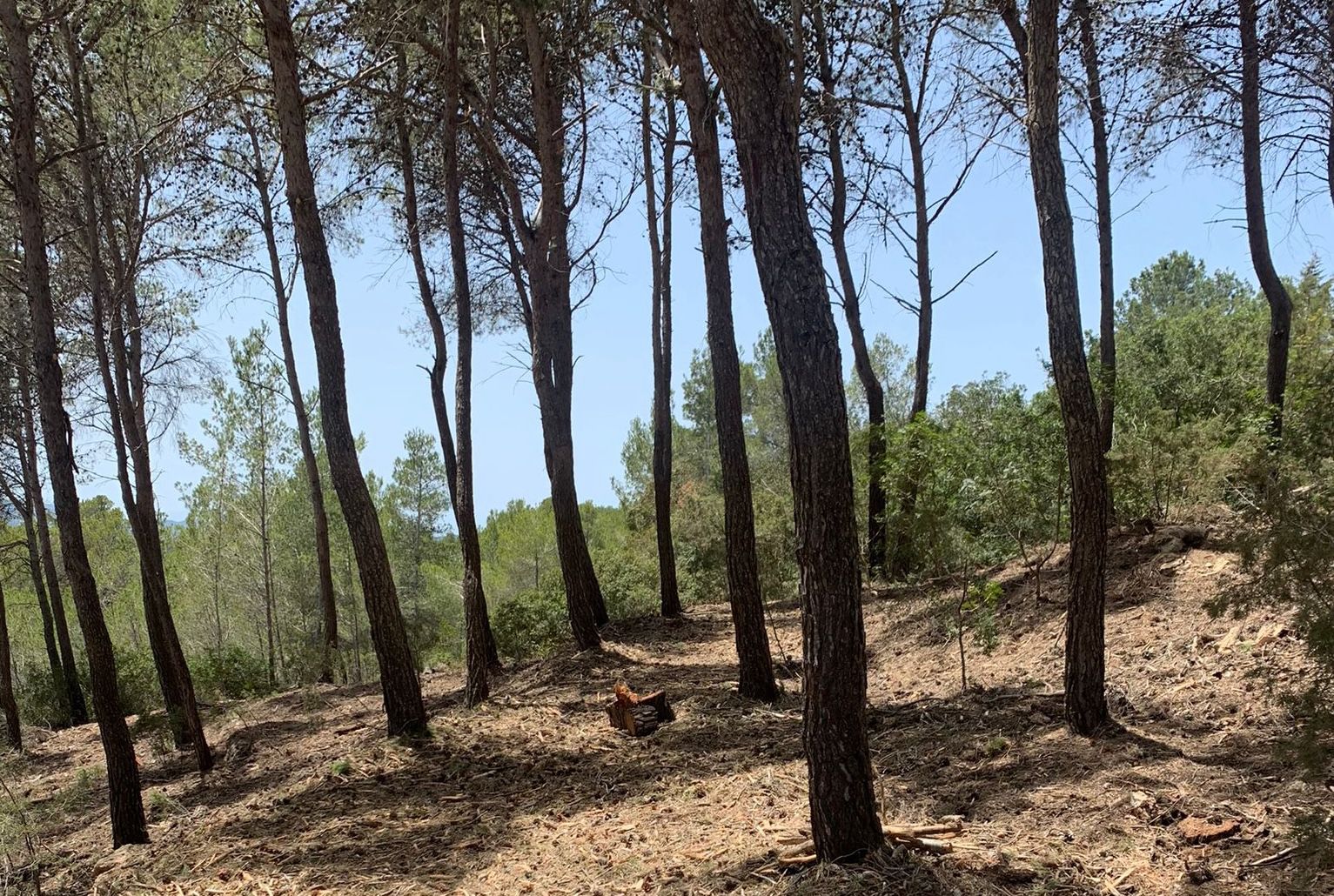 faja contra incendio en ibiza