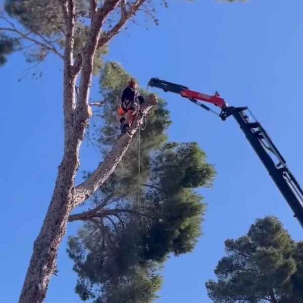 limpieza de fincas en ibiza