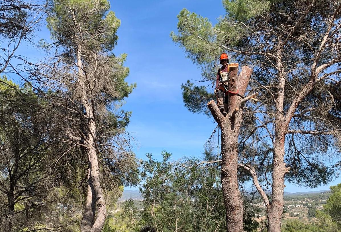 tala controlada en ibiza