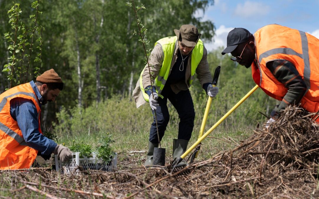 Trabajos forestales en Ibiza para fincas rurales